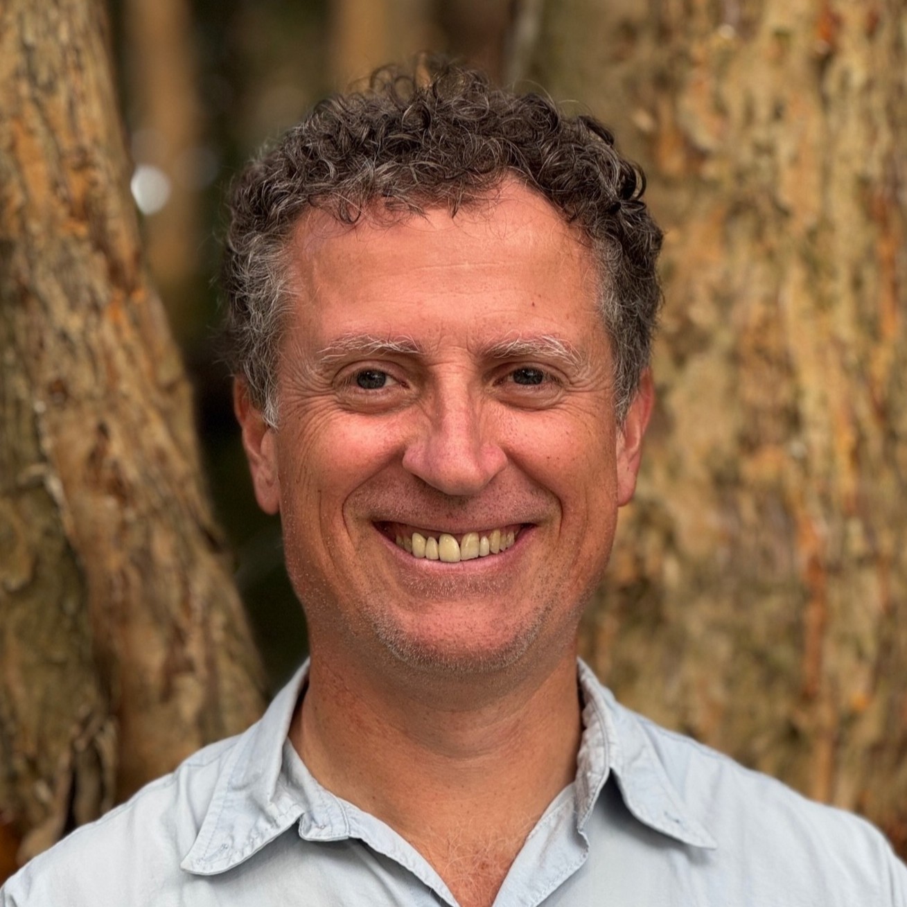 Dr Paul Wood